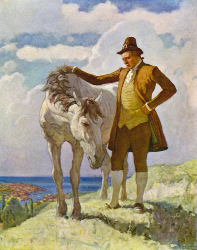 Efendim Nat ve At by Newell Convers Wyeth