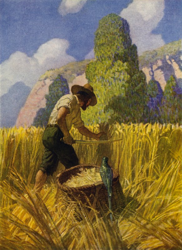 Robinson Crusoe için çizim (renkli taş) by Newell Convers (after) Wyeth