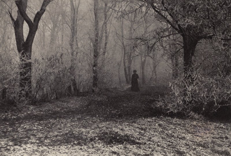  by Nichol Elliot