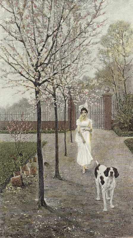 Bahar çiçekleri by Nicolaus Geiger