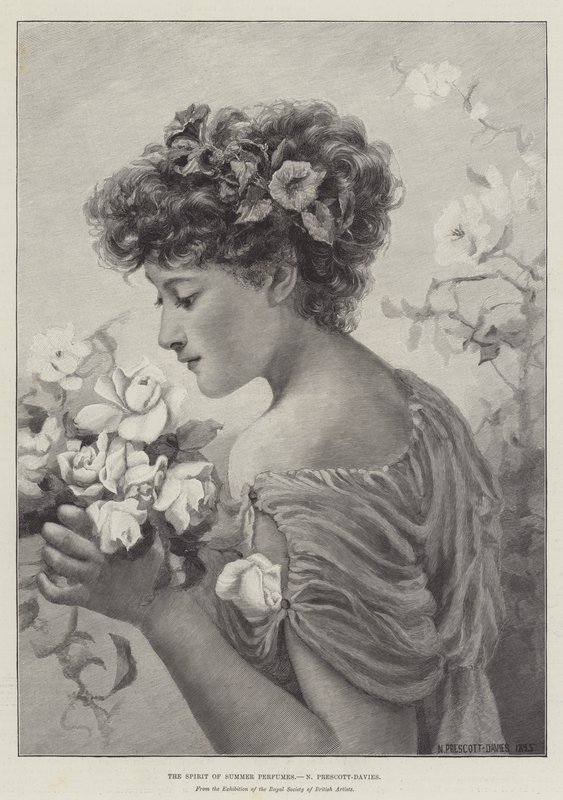 Yaz Parfümlerinin Ruhu by Norman Prescott Davies