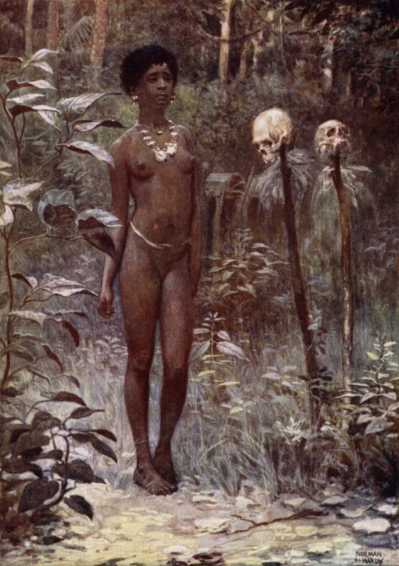 Bir Tapu Virgin, Britanya Solomon Adaları (renkli taş) by Norman Hardy