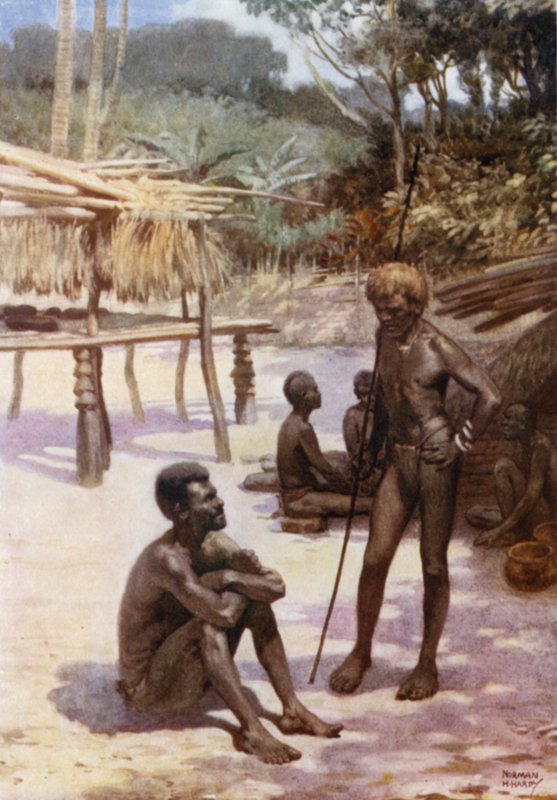 Tierra Espiritu Santo Adasında Bir Yam Kulübesi, Yeni Hebridler (renkli taş) by Norman Hardy