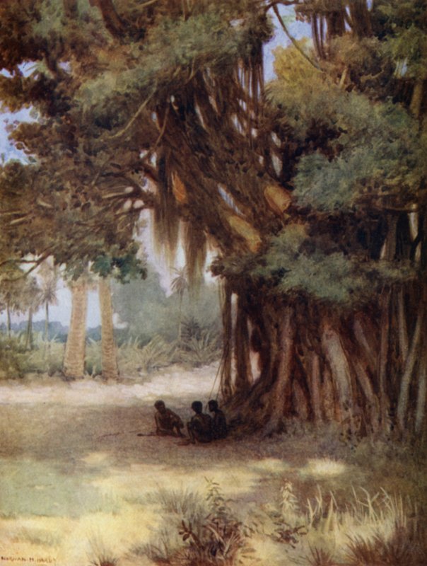 Banyan Ağacının Altında, Malekula Adası, Yeni Hebridler (renkli taş) by Norman Hardy