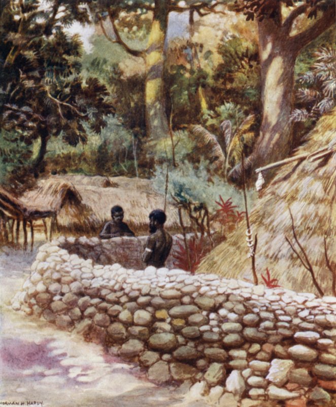 Şefin Evi, Ambryn, Yeni Hebridler (renkli taş) by Norman Hardy