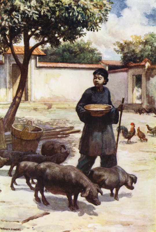 Çin: Bir avlu (renkli taş) by Norman Hardy