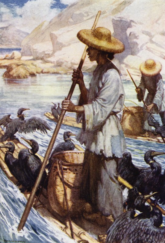 Çin: Karabatakla balık tutma (renkli taş) by Norman Hardy