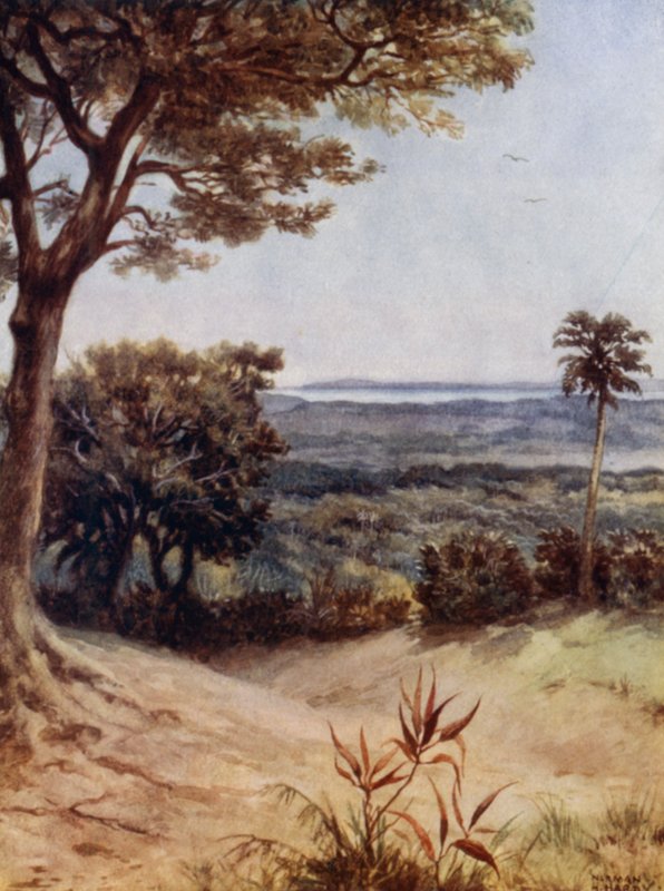 Havannah Limanı, Rathmoy, Yeni Hebridler (renkli taş) by Norman Hardy