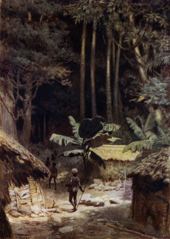 İlkel bir Ormanın Kenarında, Solomon Adaları (renkli taş) by Norman Hardy