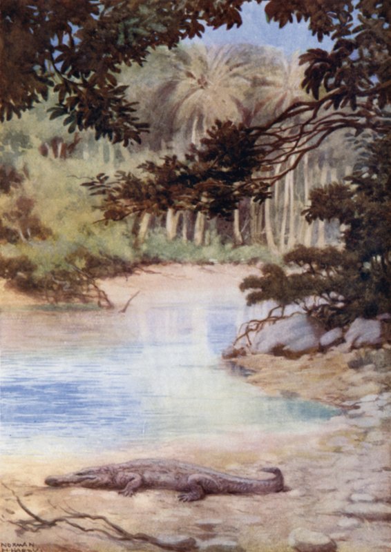 Timsahın Evi, Britanya Solomon Adaları (renkli taş) by Norman Hardy