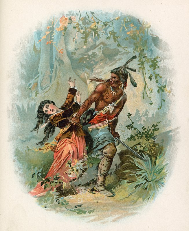 Mohikanların Sonu için İllüstrasyon by North American