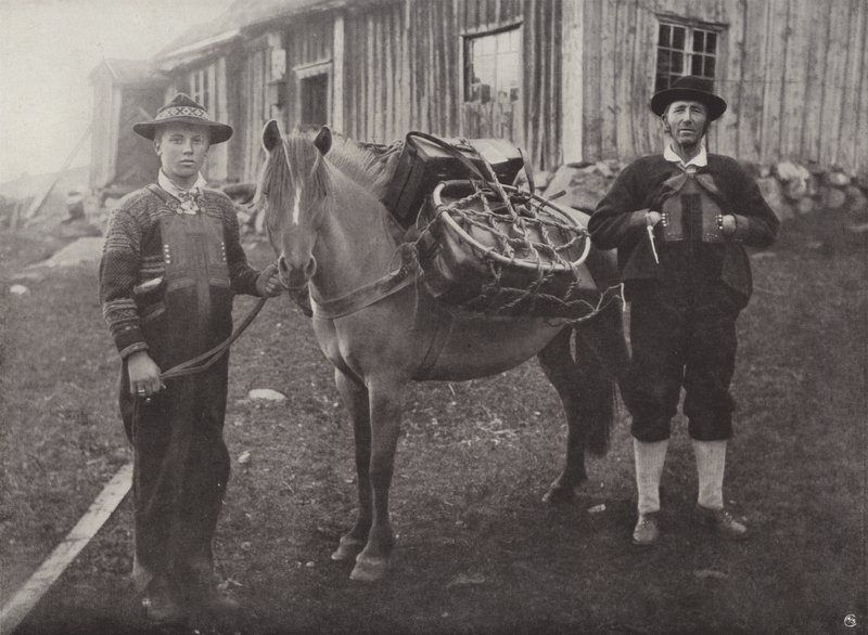 Pack-Horse ile Saetersdalen Highlanders by Norwegian Photographer