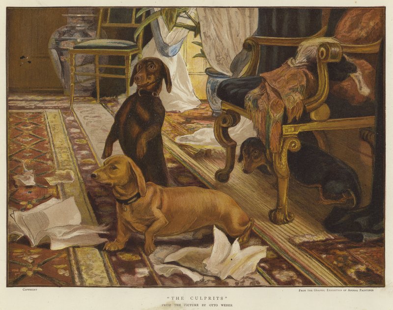 Bir oturma odasında bir sandalyenin etrafında üç dachshund (renkli lito) by Otto Weber