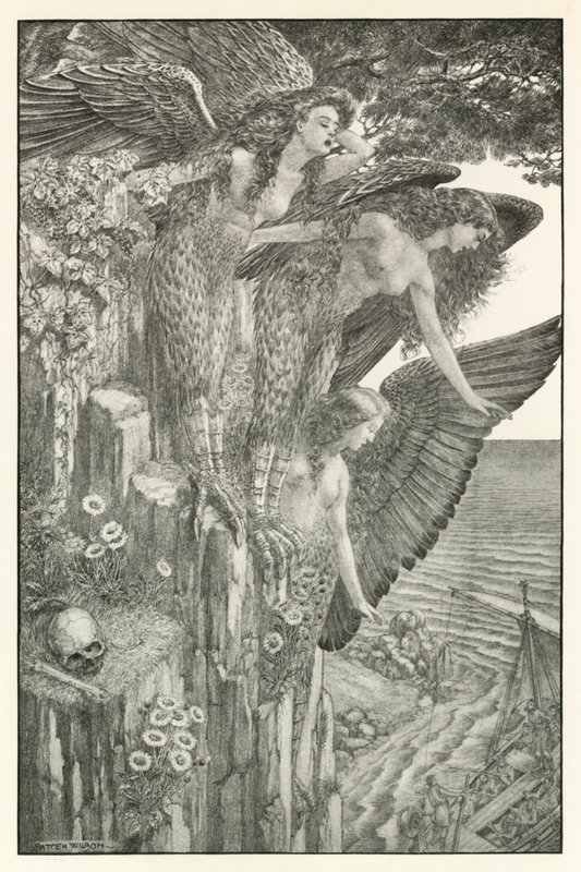  by Patten (after) Wilson