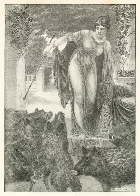  by Patten (after) Wilson