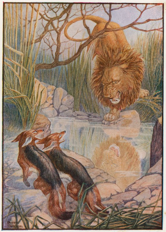Bir aslan yüzü sudan ona baktı (renkli lito) by Patten Wilson