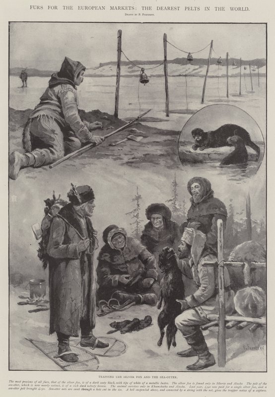 Avrupa Pazarları İçin Kürkler, Dünyanın En Değerli Postları by Paul Frenzeny