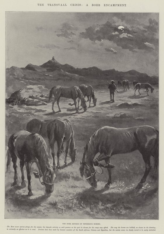 Transvaal Krizi, Bir Boer Kampı by Paul Frenzeny