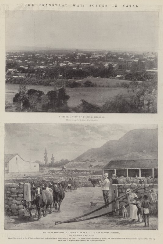 Transvaal Savaşı, Natal