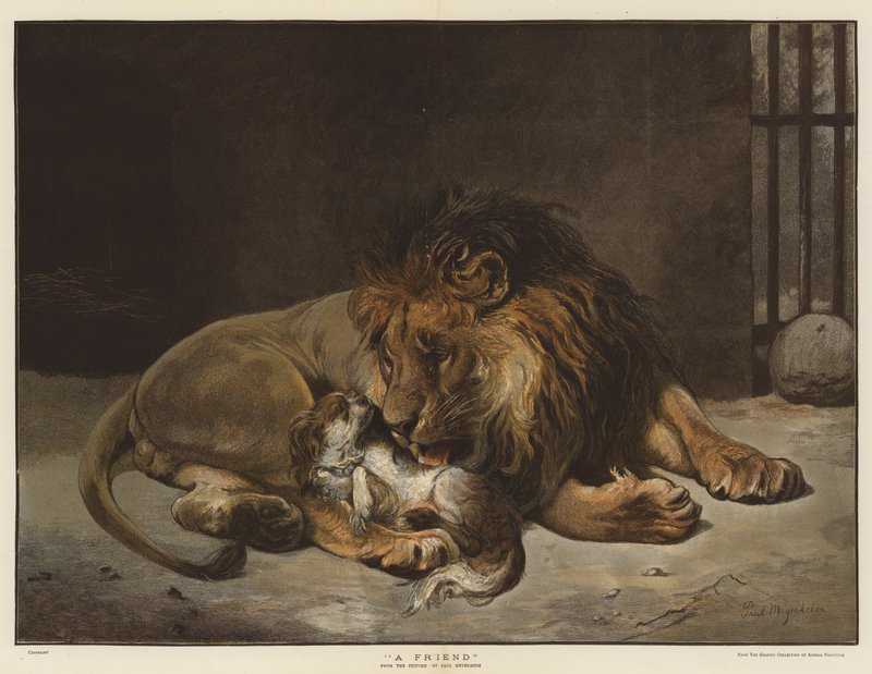 Bir Arkadaş (kromolitho) by Paul Friedrich Meyerheim