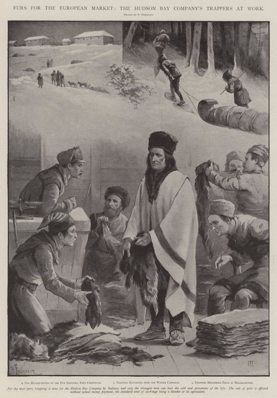 Avrupa Pazarı İçin Kürkler, Hudson Bay Company