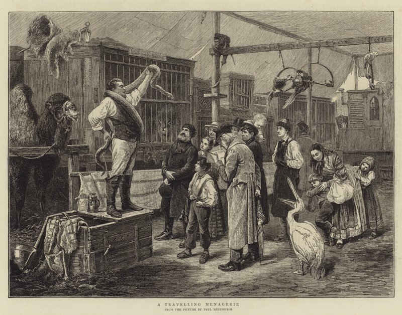 Gezici Bir Hayvanat Bahçesi by Paul Friedrich Meyerheim