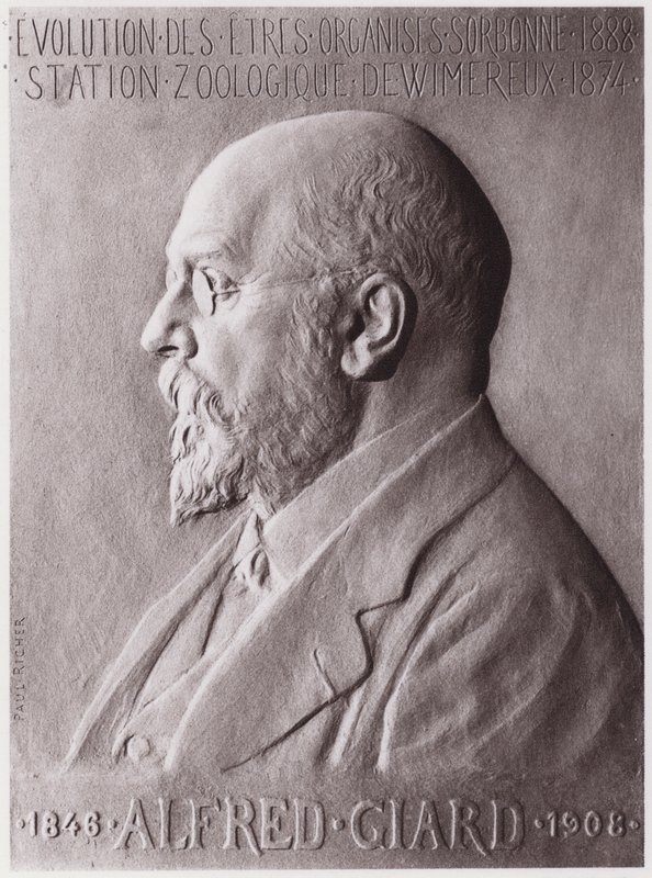 Alfred Giard (1846-1908), zoolog, portre (taş) by Paul Marie Louis Pierre Richer