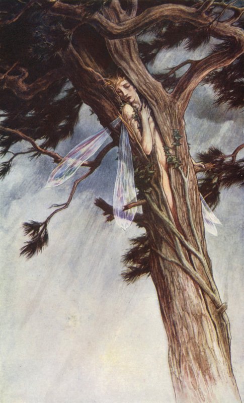 Fırtına, William Shakespeare, I. Perde, 2. Sahne (renkli taş) by Paul Vincent Woodroffe