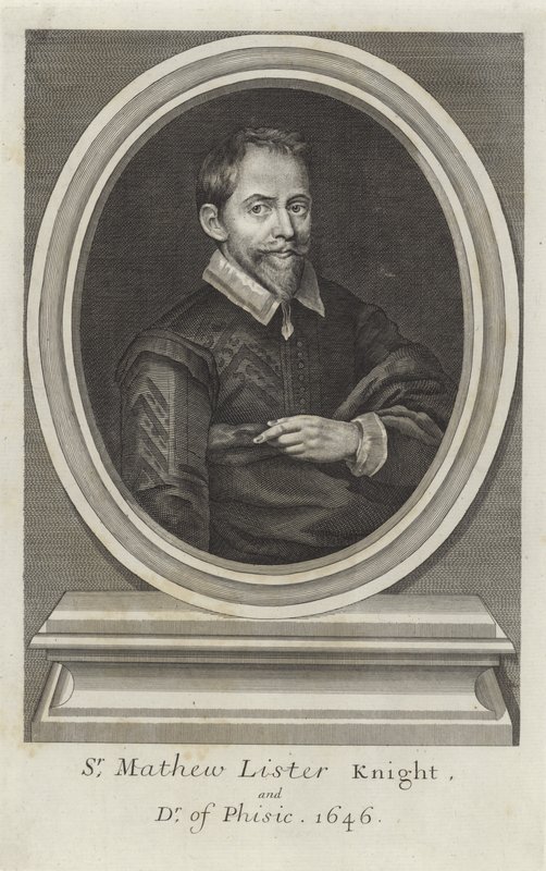 Sör Matthew Lister by Paul van Somer