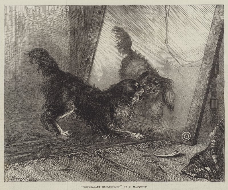 hoş olmayan yansımalar by Percy Macquoid