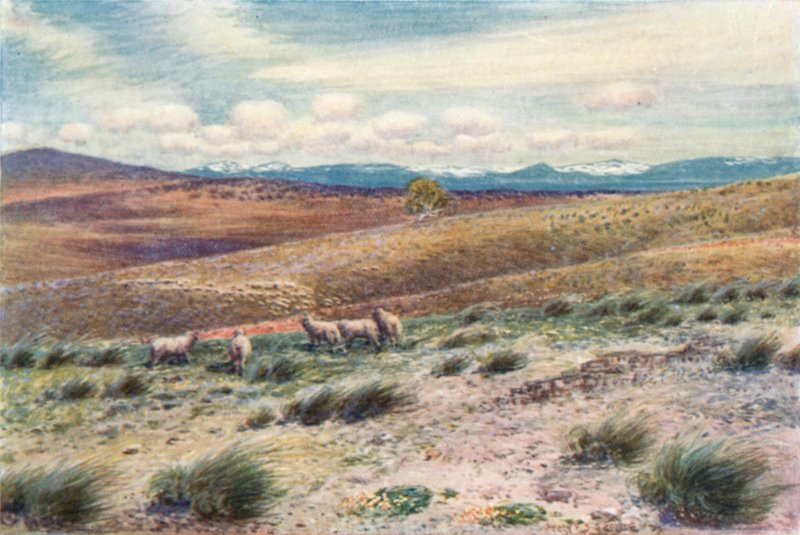 Federal Başkentin bulunduğu yere yakın Karlı Dağlar (renkli taş) by Percy F.S. (after) Spence