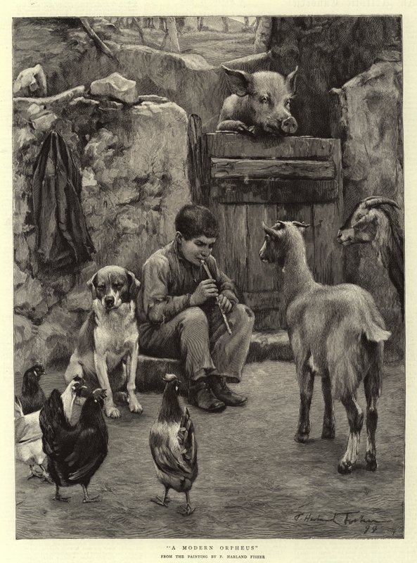 Modern Bir Orpheus by Percy Harland Fisher