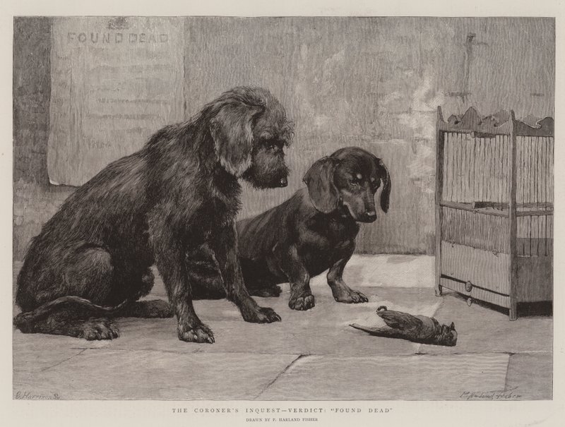 Adli Tıp Kurumu, Karar, Ölü Bulundu by Percy Harland Fisher