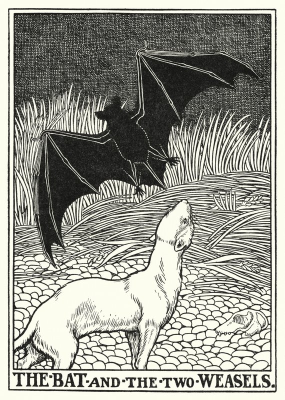 La Fontaine Masalları: Yarasa ve iki gelincik (lito) by Percy James Billinghurst