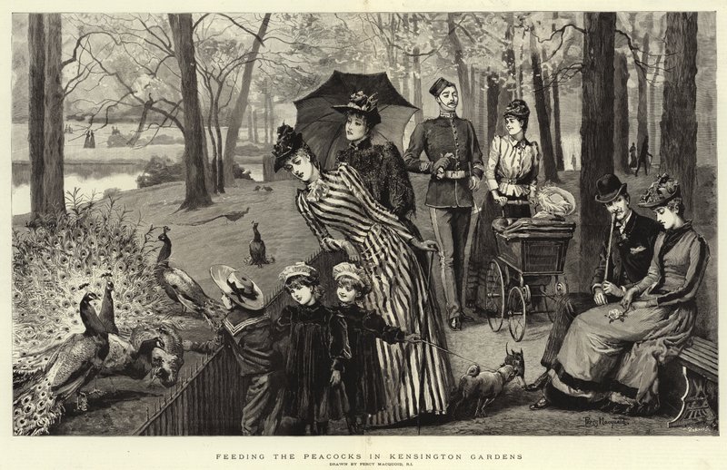 Kensington Bahçelerinde Tavus Kuşlarını Beslemek (gravür) by Percy Macquoid