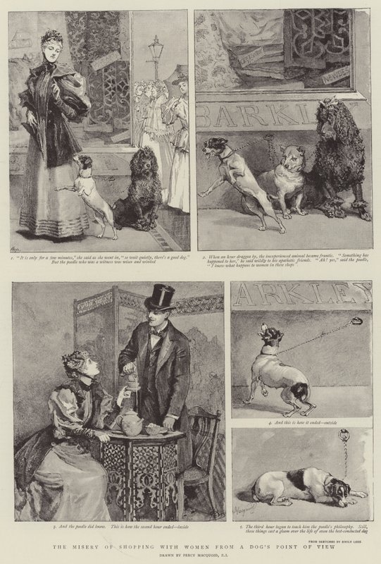 Bir Köpeğin Bakış Açısından Kadınlarla Alışverişin Sefaleti by Percy Macquoid