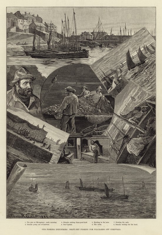 Balıkçılık Endüstrilerimiz: Cornwall Kapalı Pilchards için Drift-Net Balıkçılığı by Percy Robert Craft