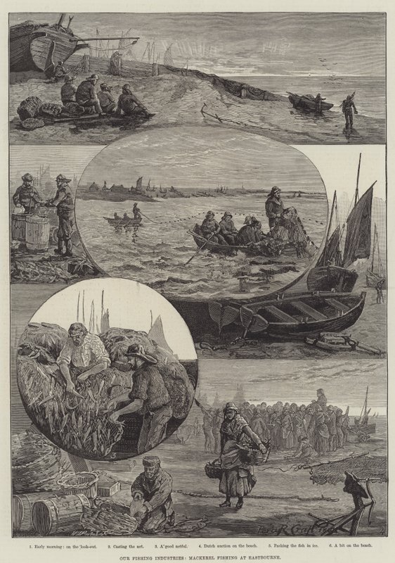 Balıkçılık Endüstrilerimiz, Eastbourne