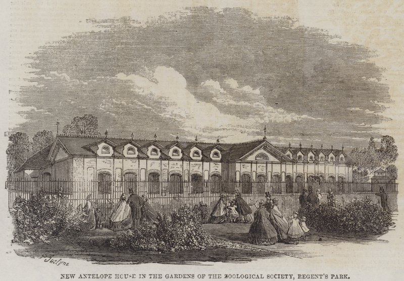 Regent