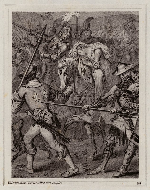 by Peter Johann Nepomuk Geiger