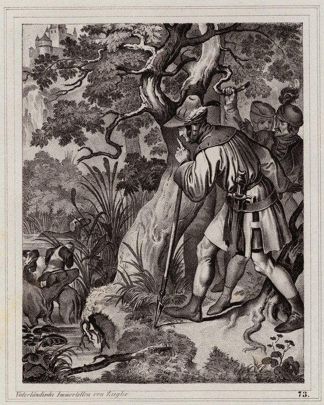 by Peter Johann Nepomuk Geiger