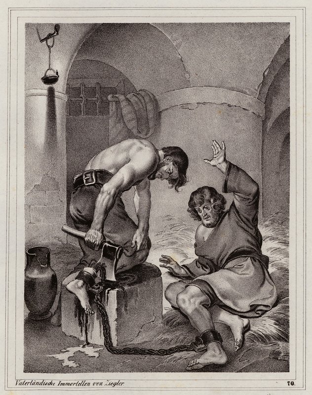  by Peter Johann Nepomuk Geiger