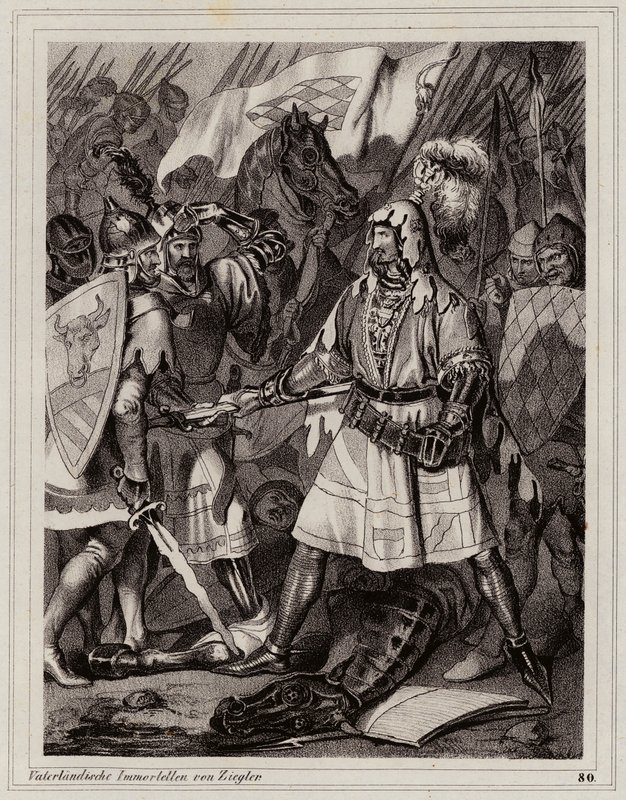  by Peter Johann Nepomuk Geiger