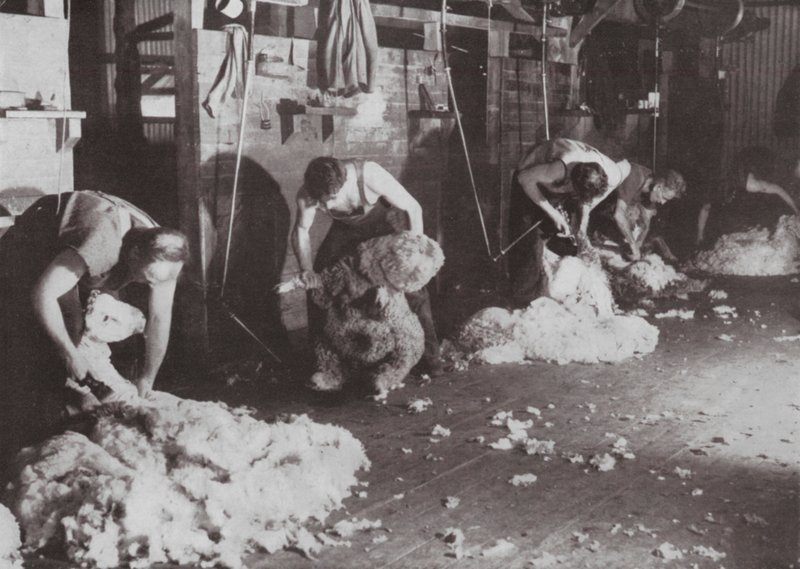 Bir Shearing Shed