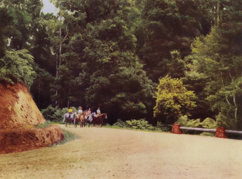 Bir Dağ Yolu Boyunca (renkli fotoğraf) by Photographer Australian