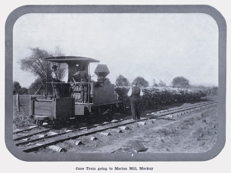 Marian Mill