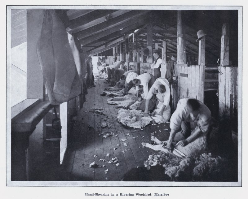 Riverina Woolshed