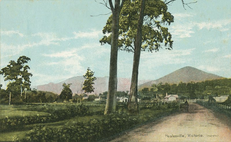 Healesville, Victoria, Avustralya (renkli fotoğraf) by Photographer Australian