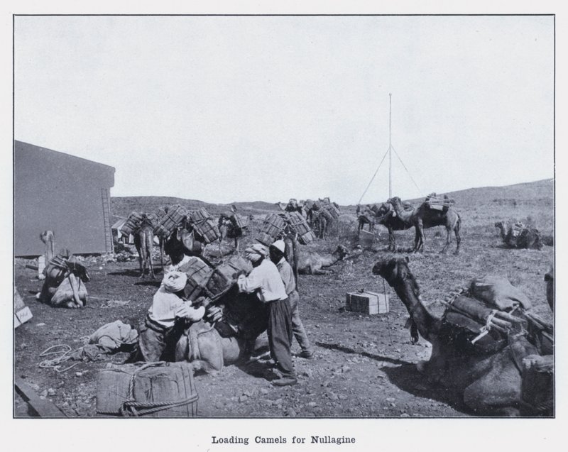 Nullagine için Deve Yükleme (s/b fotoğraf) by Photographer Australian