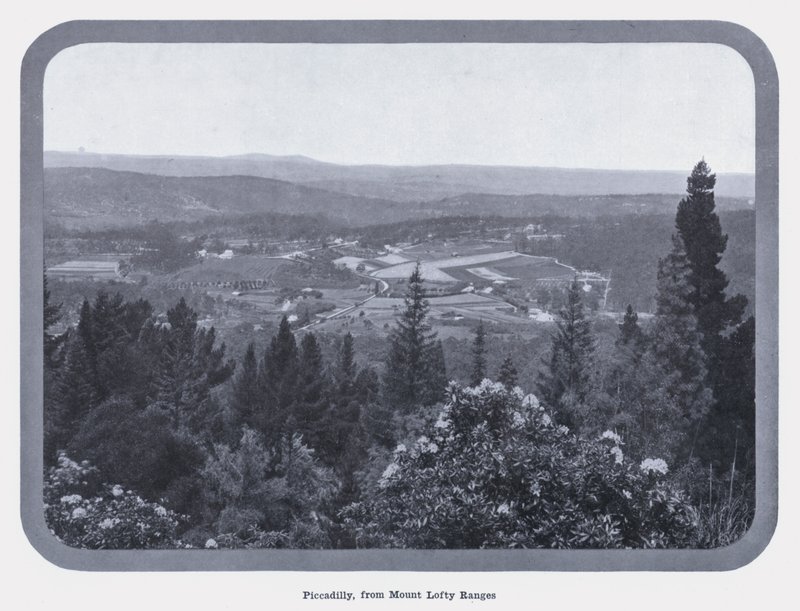 Piccadilly, Mount Lofty Ranges